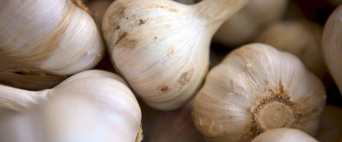 Kyolic Kardio Produkte &ndash; Kapseln & Liquid